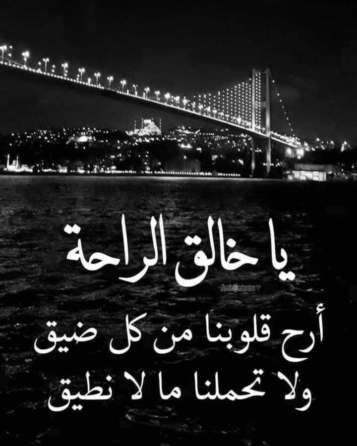 محمد tweet media