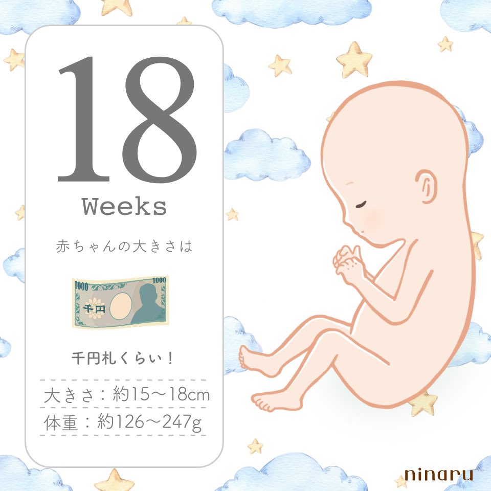 hiro_yt15's tweet photo. 無事、日曜日に18週(*  ˊ꒳ˋ*)突入❣️

明日は3回目の検診♡

エコーではあるけど早く会いたい🩷️🩵 https://t.co/rWJGqGr3ip