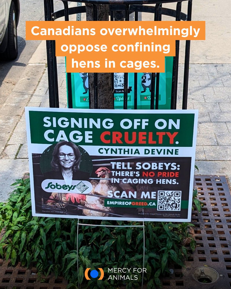 Mercy For Animals tweet media