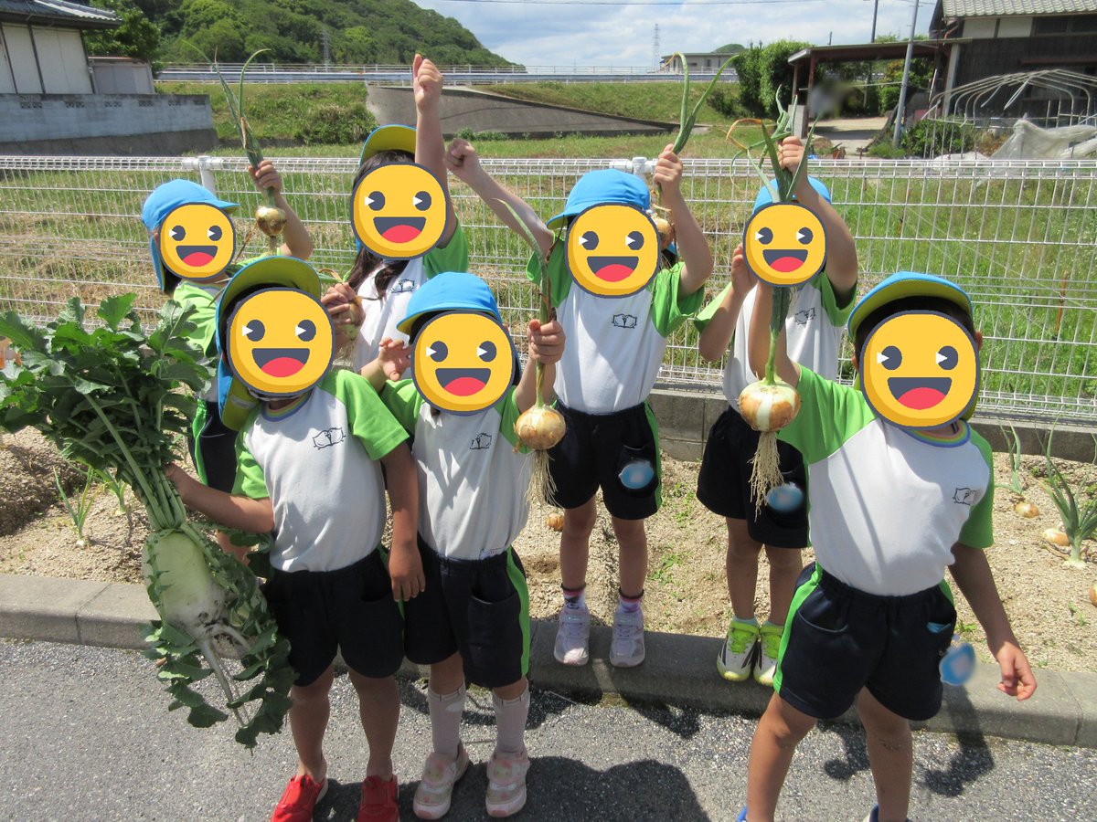 tsuchigahara_ch's tweet photo. ＃玉ねぎ収穫！！ 今年もめろん組さんが ＃収穫 してくれました。そして今は、鉄棒で乾かしています。今年も夏のカレー作りに使おうかなっ・・・。 ＃岡山千鳥福祉会 ＃槌ケ原ちどり保育園 https://t.co/0EgqlZDCyE