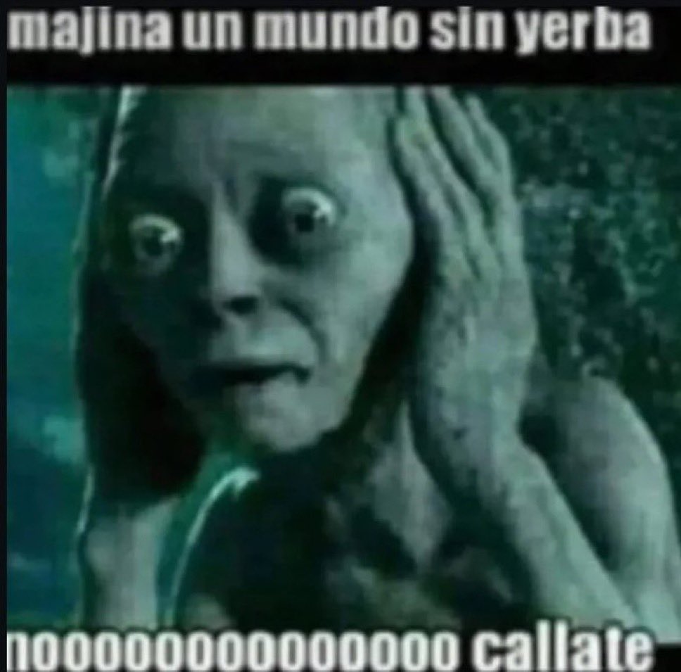 Dittoopp's tweet photo. Dios mío libérenme https://t.co/dLndkR0wBZ