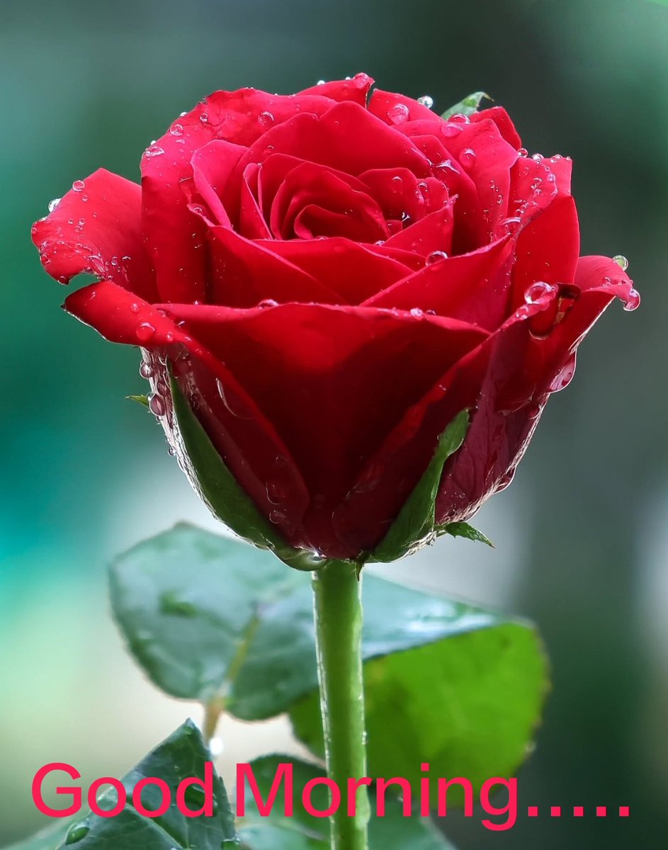 Prattikroy's tweet photo. Good Morning..... https://t.co/1azBiLLqu6