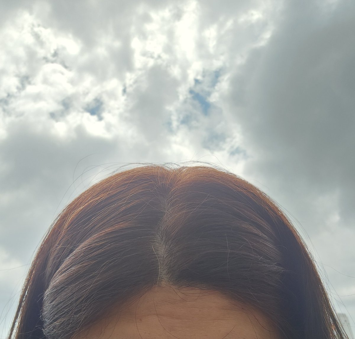 puriebe's tweet photo. 髪色綺麗✿ﾟ❀.(*´▽`*)❀.ﾟ✿ https://t.co/GrLBeQJtSW