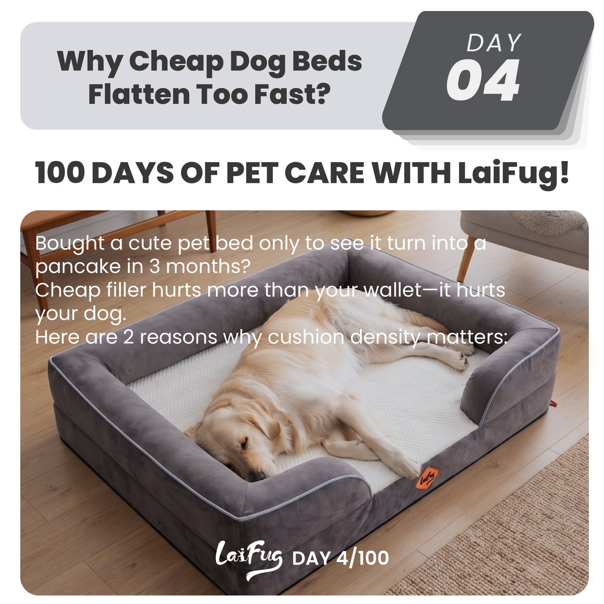 LaiFugVIP's tweet photo. 👇 Has your dog's bed flattened out before? Let us know your experience!
#laifug #orthopedicdogbed #doghealth #dogjointhealth #dogownerlife #petproducts https://t.co/1xtfZkaFF0