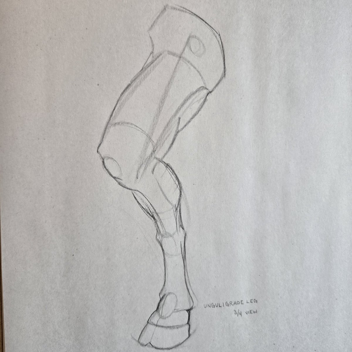 SeraphinaeWorks's tweet photo. Trying to understand other types of legs before I start another work. https://t.co/zTJ7Q2MutS