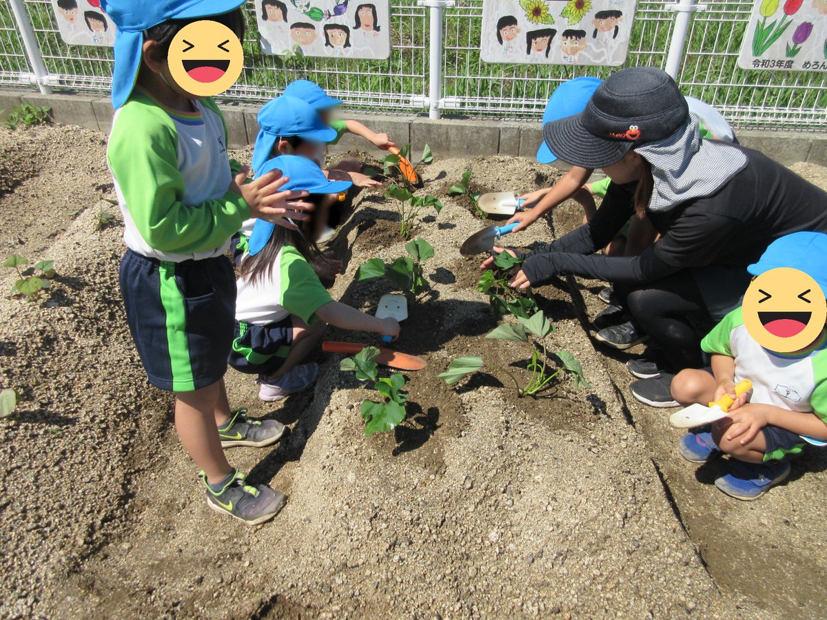 tsuchigahara_ch's tweet photo. ＃さつまいもの苗植え 玉ねぎ収穫後は、毎年、 ＃芋づる を植えています。駐車場の花壇を利用して野菜づくりしています。 #岡山千鳥福祉会 ＃槌ケ原ちどり保育園 https://t.co/V3OMi3NJ67
