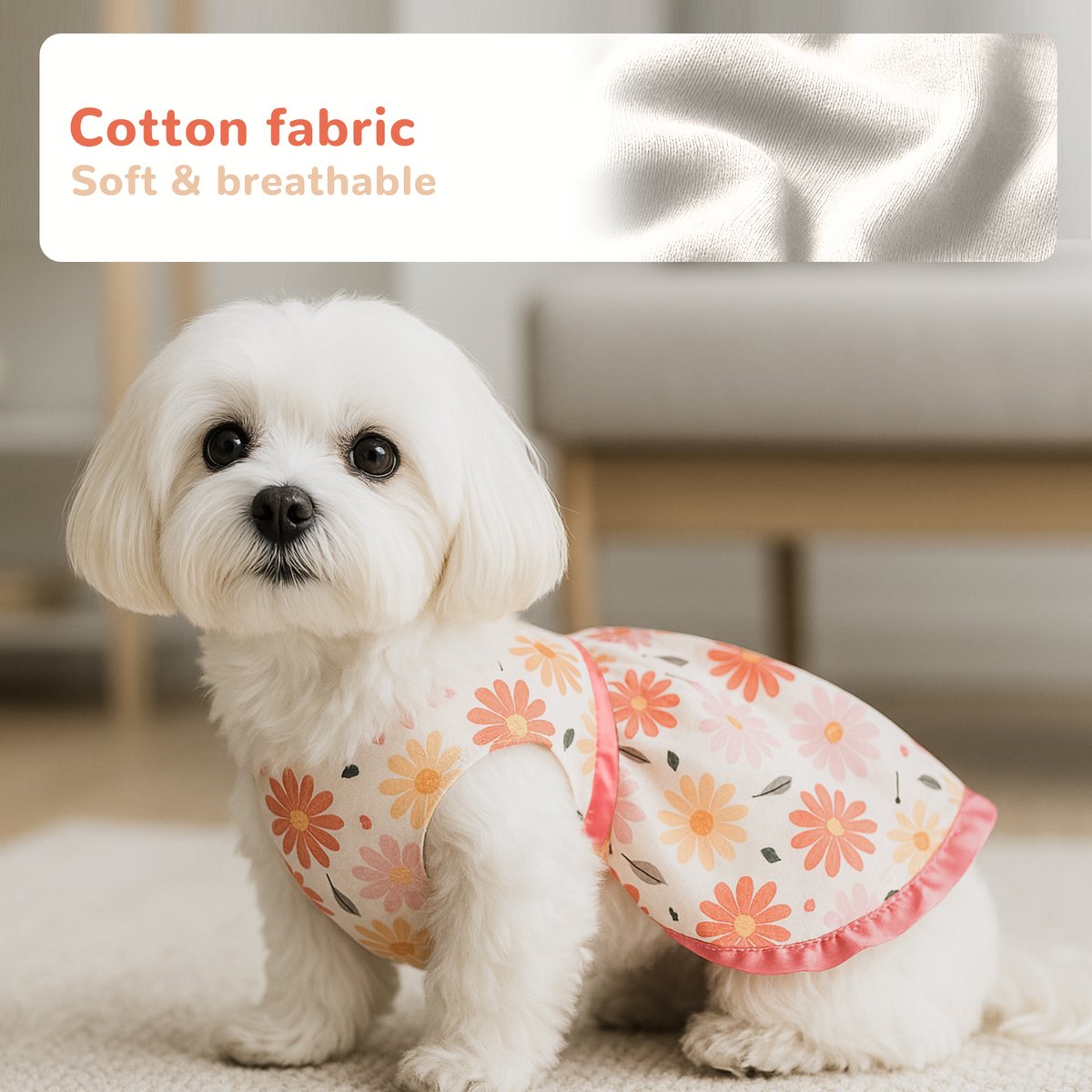 LaiFugVIP's tweet photo. Turn heads on every walk! The Laifug Puppy Print Princess Dress is crafted with ultra-breathable, lightweight fabric that’s gentle on sensitive skin. Snug yet comfortable, it lets your pet strut in style without restricting movement. 🌸 [🔗 https://t.co/sKMcvVHgId] https://t.co/RjzsM1TXOA