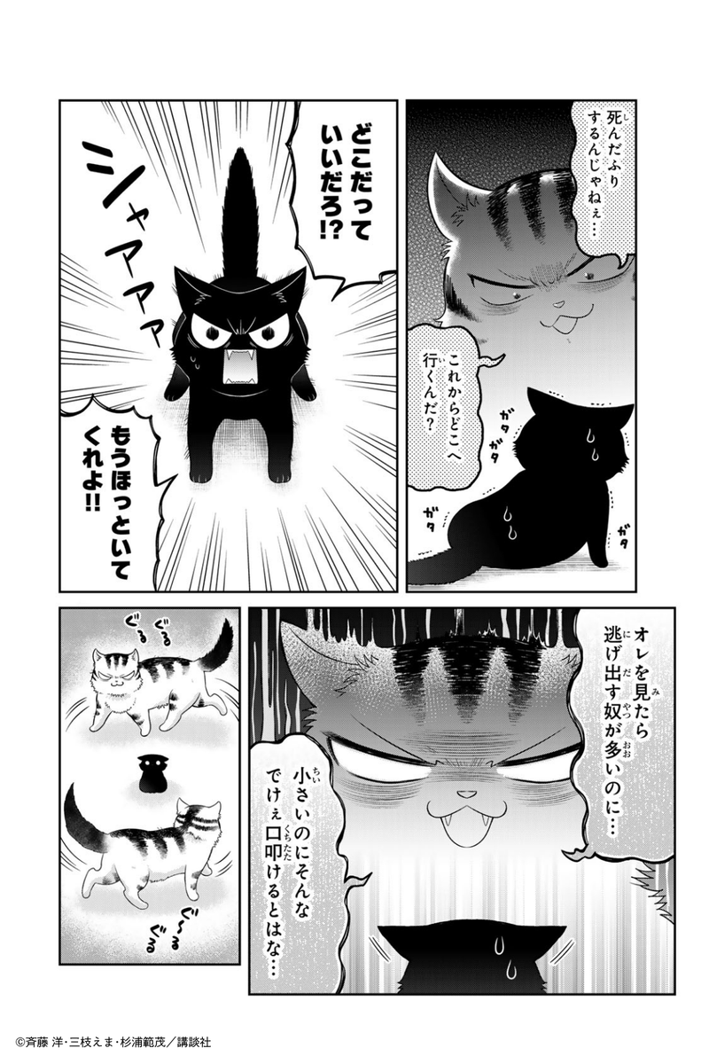 bibliosirius's tweet photo. 「オレの名前はいっぱいあってな…」
「イッパイアッテナっていう名前なの？」