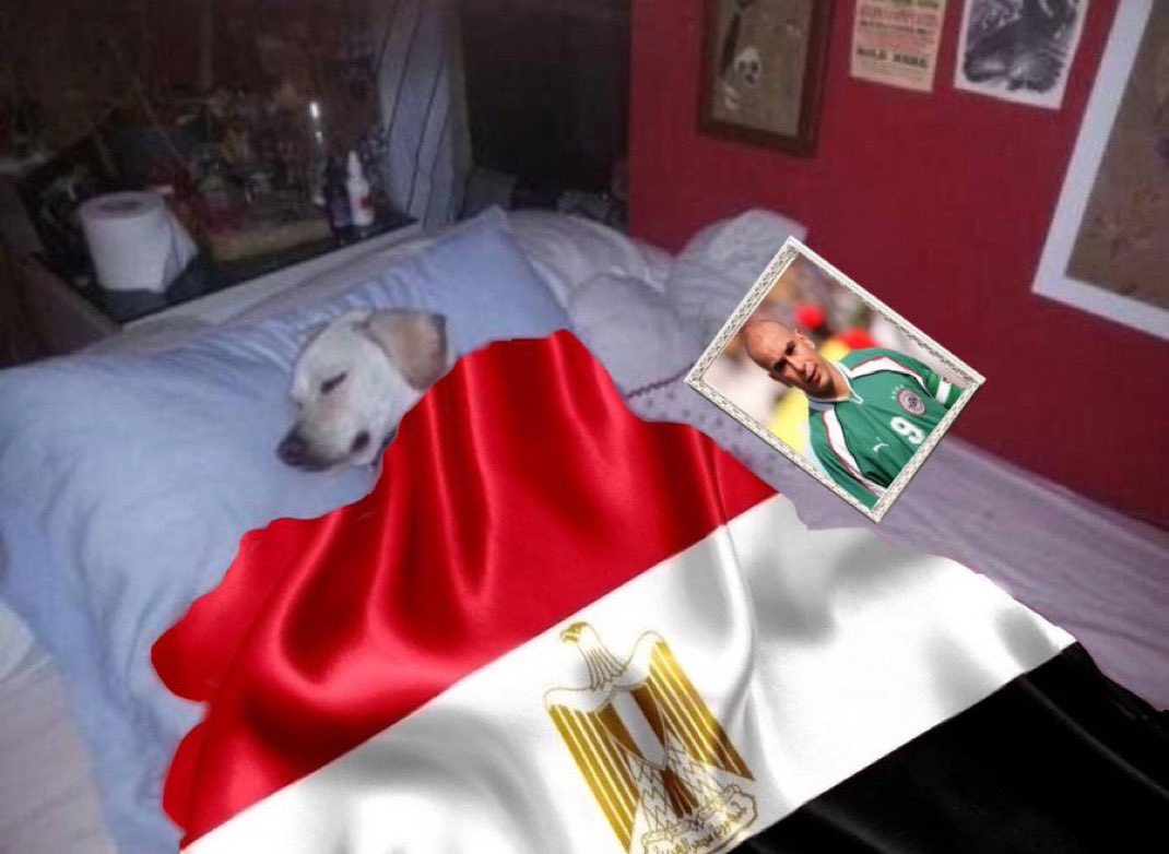 EgyptCEO's tweet photo. IS EVERYONE READY TO BE EGYPTIAN TOMORROW 🇪🇬🇪🇬🇪🇬🇪🇬🇪🇬🇪🇬 https://t.co/RZjWtxR94C