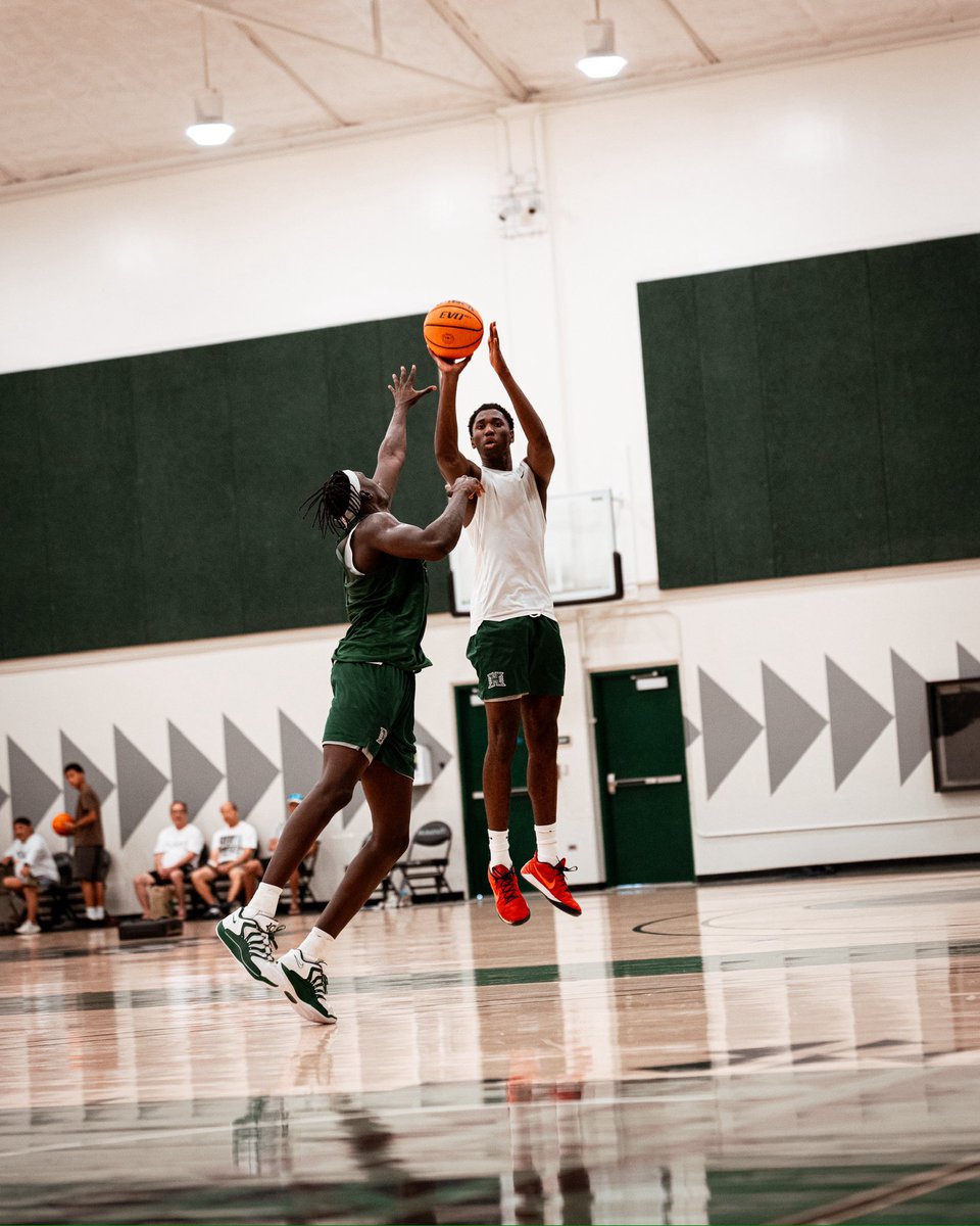 HAWAII BASKETBALL tweet media