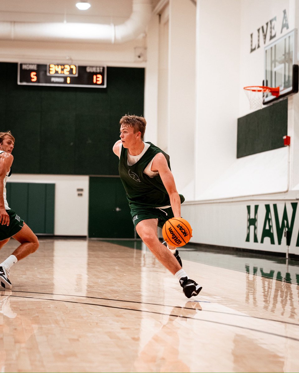 HAWAII BASKETBALL tweet media