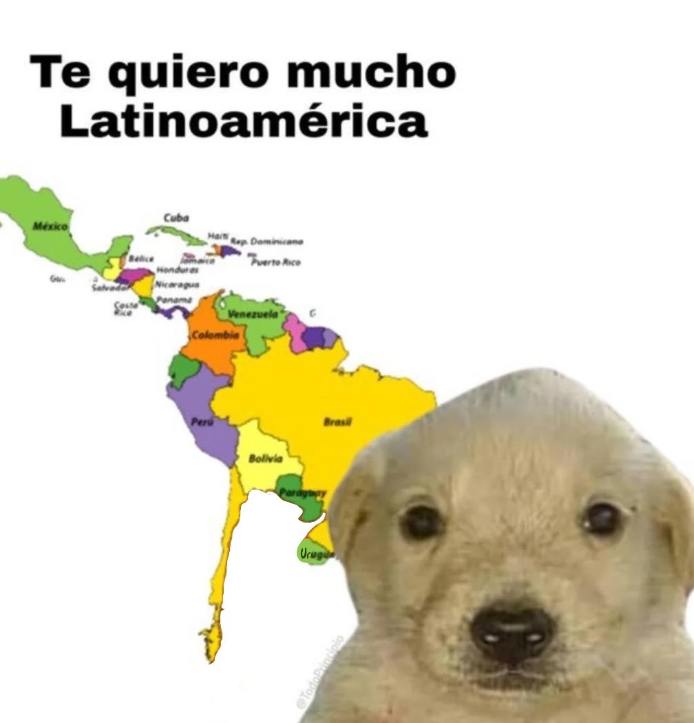 Kaio© but Stupid™ 🇲🇽🍉 tweet media