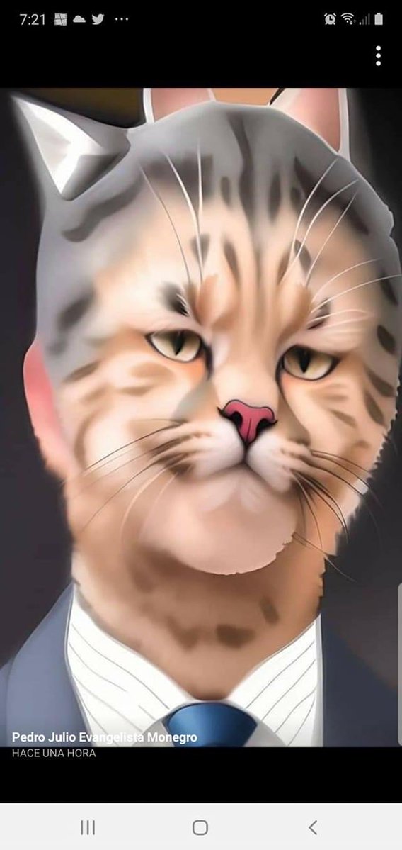 VictorB79830's tweet photo. @VinicioSenador @LeonelFernandez @FPcomunica La Fuerza del viejo va a llevar al viejo candiGato?
Es una pregunta!!! https://t.co/O4L2kOj1f1