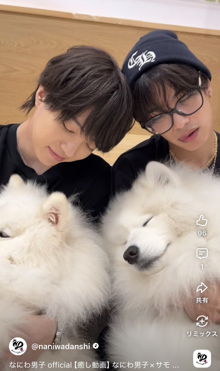 きょへだい×サモエド🐶❤️💜