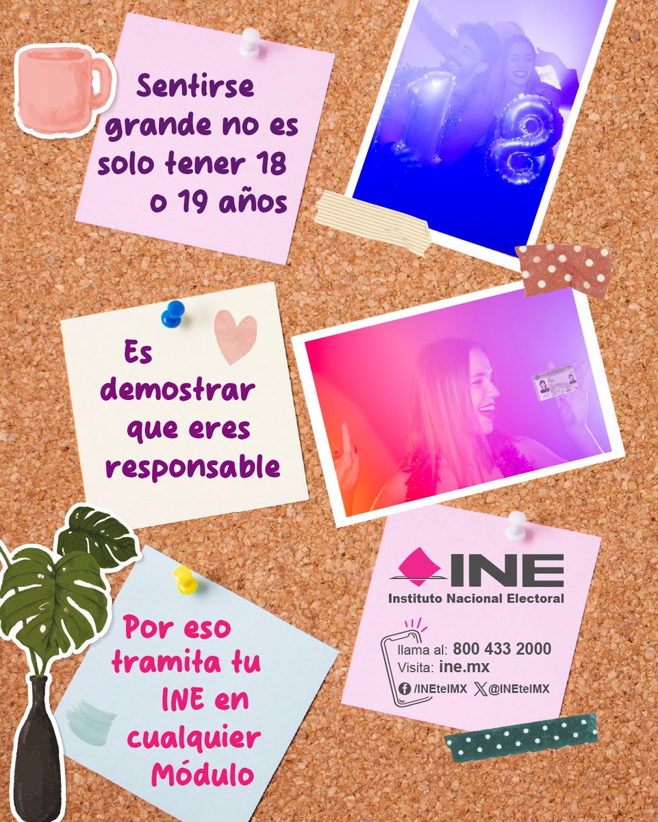 INECDMX's tweet photo. 🪪 Tener tu INE a los 18 o 19 años es más que un trámite; es asumir tu compromiso con la participación ciudadana 🤝 y el futuro del país.
#CredencialParaVotar #INECDMX https://t.co/ZDdQoaArSh