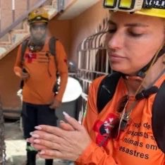 QGdoPOP's tweet photo. Brasileiros resgataram mais de 50 gatinhos após terremotos na Venezuela. https://t.co/XteCt9u1Ss