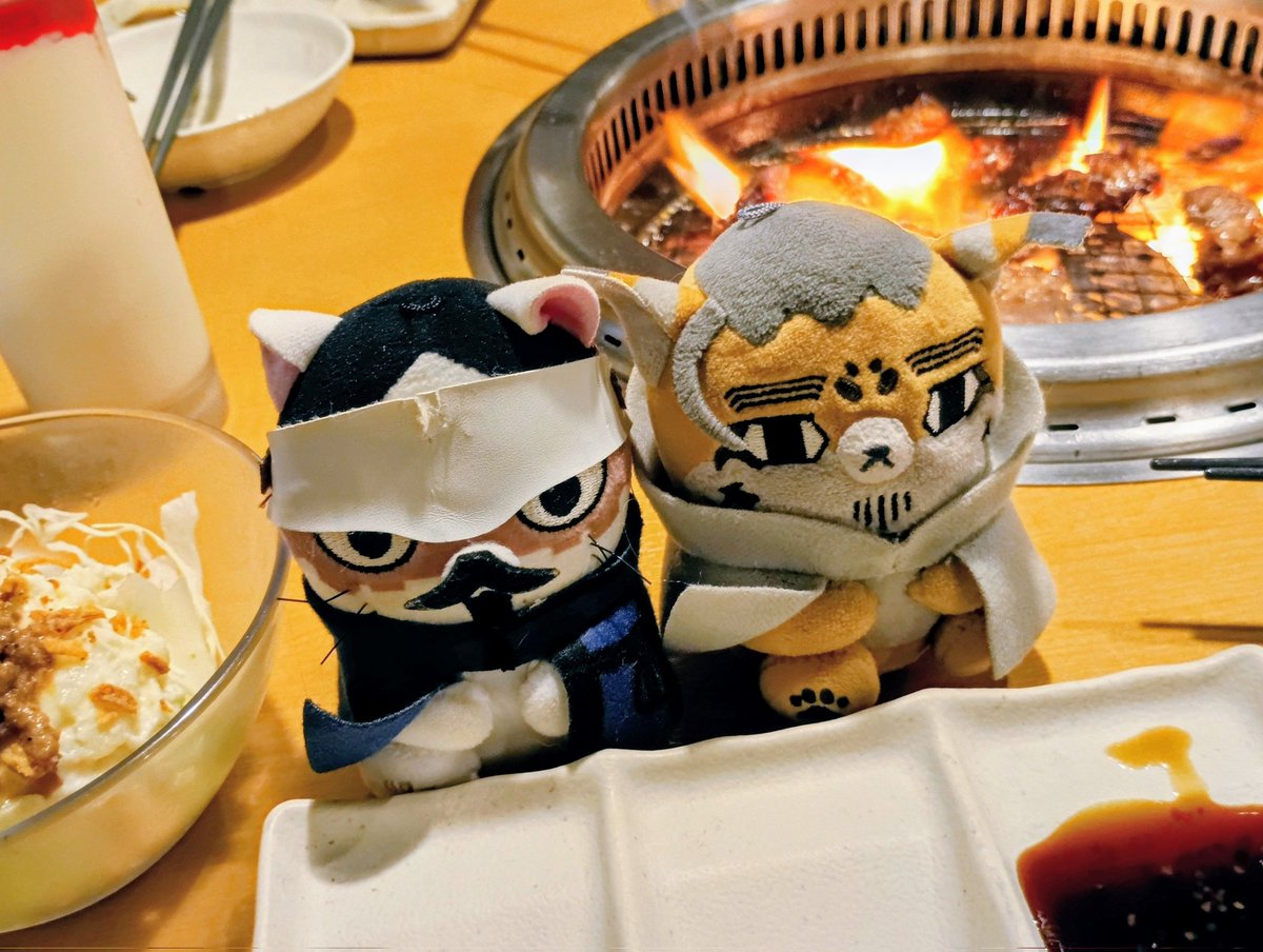 sanchan_mix's tweet photo. ユニクロでTシャツゲット！CATSもあった！
🥯🍴🍖焼肉キングともっちゅりん狩りだぜ
通院中の頑張ってる猫ちゃん。今度はエイだけじゃなくお魚も🐟
#フォゼ尾といっしょ #おいしれんぼ https://t.co/GBN4iHhzrT