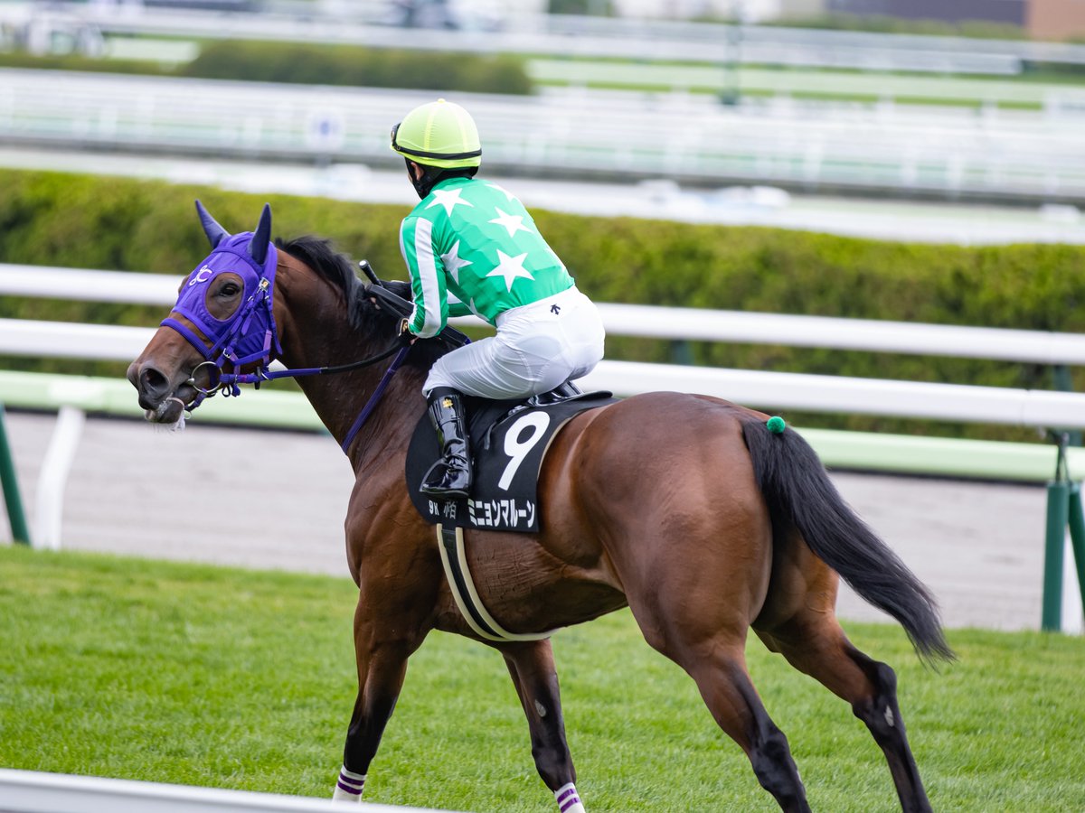 Koocham1112's tweet photo. 2026.07.05 函館競馬場

ミニョンマルーン
長浜鴻緒騎手

#ミニョンマルーン
#長浜鴻緒
#伊藤圭三厩舎 https://t.co/nvf2uFwRQa