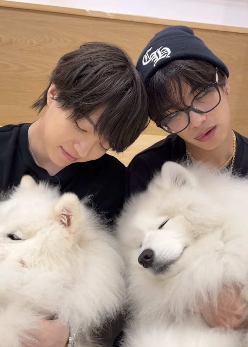 _kyoroo228's tweet photo. えぐいこれかわいすぎる、舌出しながら寝てる恭平ちゃん😭😭😭😭イッヌと同じ顔してる犬だ😭😭😭😭 https://t.co/Bsk0gAbdNX