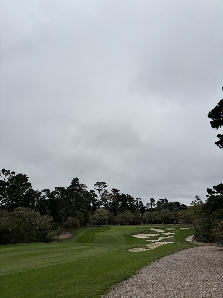 User2253519's tweet photo. Another decent track for Chip this morning #spyglass #t100 https://t.co/yX9RrkLFOn