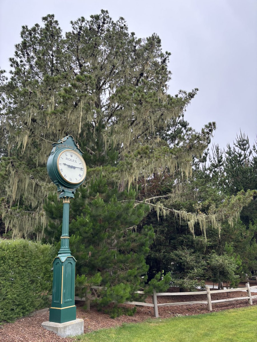 User2253519's tweet photo. Another decent track for Chip this morning #spyglass #t100 https://t.co/yX9RrkLFOn