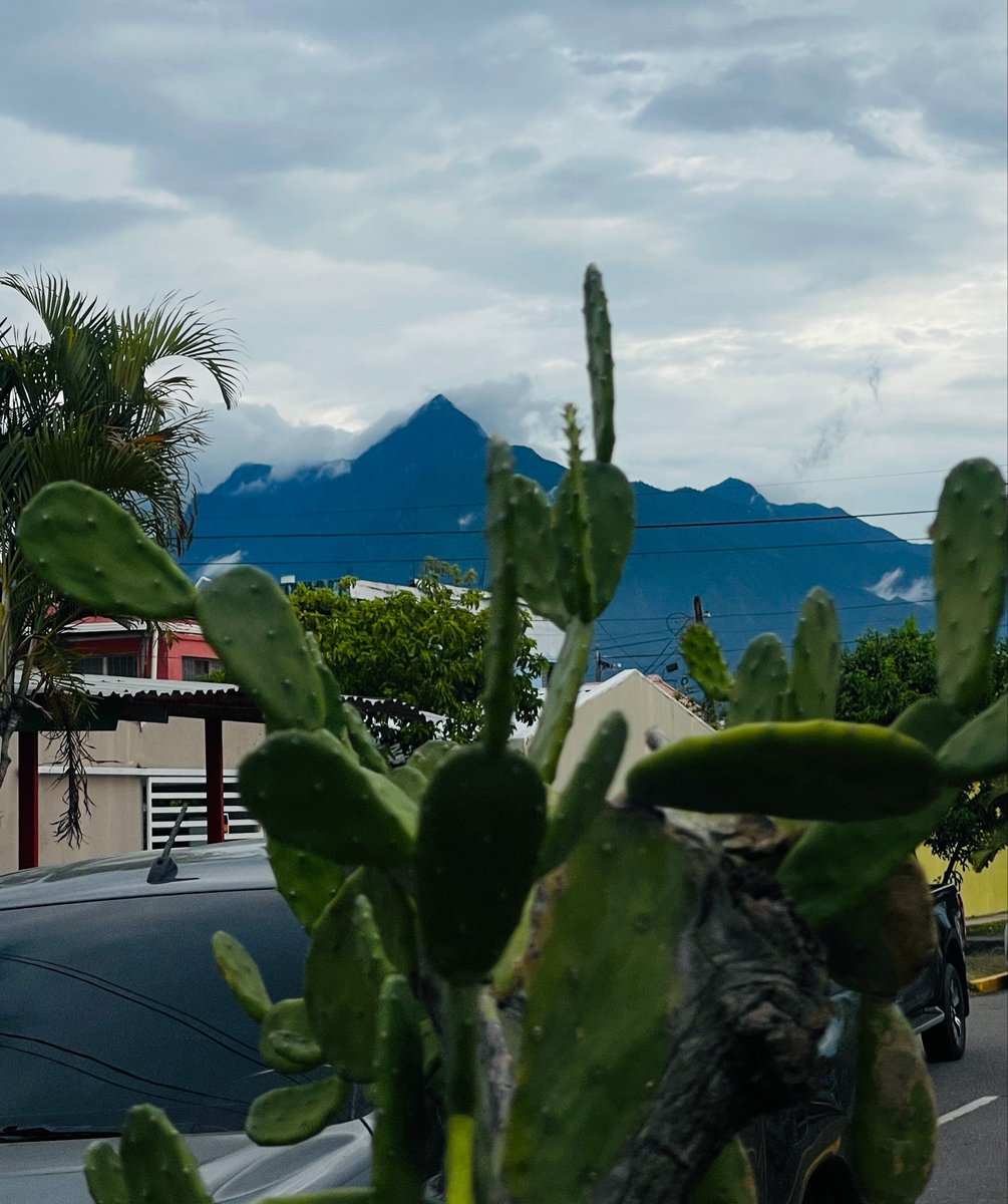Mario_Galeas's tweet photo. The ear that heareth the reproof of life abideth among the wise. He that refuseth instruction despiseth his own soul: but he that heareth reproof getteth understanding. The fear of the Lord is the instruction of wisdom; and before honour is humility.

Proverbs 15:31-33🙏🏻 #LaCeiba https://t.co/F8p9jGxzj4