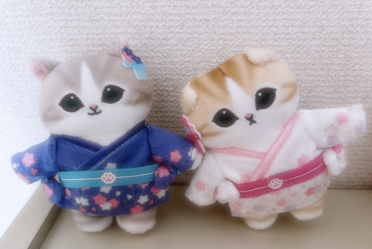 yui_8464's tweet photo. おはようございます！

今日は七夕ですね🎋
織姫と彦星みたいだなと思って🐱💕 https://t.co/vxr0dpPtgj