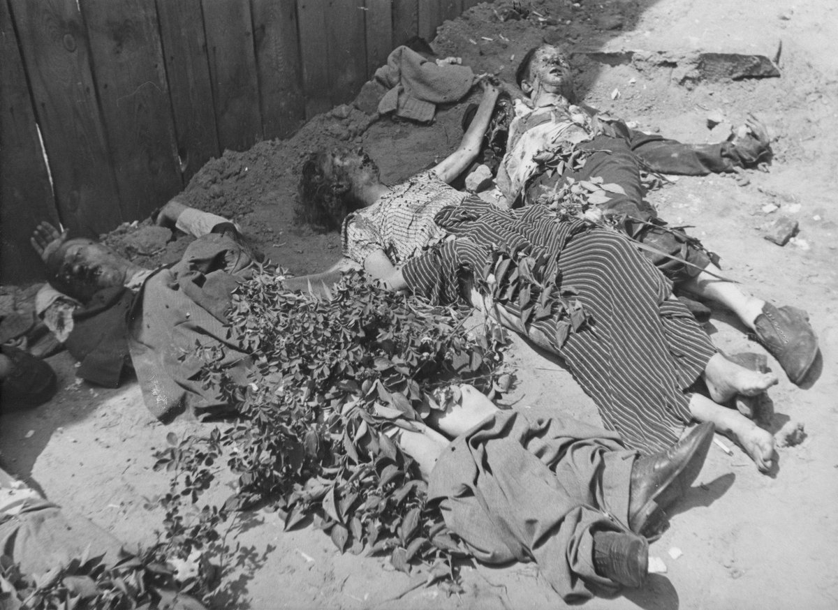 gabryel49315699's tweet photo. @realCarola2Hope Images of corpses and mass graves found by the Germans upon entering the USSR. https://t.co/u7psjX3aho