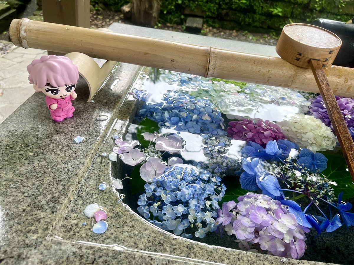no_surrenderA's tweet photo. ささのはさらさら🌌🎋

佐久間爆誕記念日に事任八幡宮参拝。
信頼と安定のイケズ神に様々なものの当選と神席祈願してきました

またすぐお礼参りにきます🌸(願望)

今年も元気に生のあべさくに逢えますように……𓈒𓏸🕊 https://t.co/F2L6iSXX95