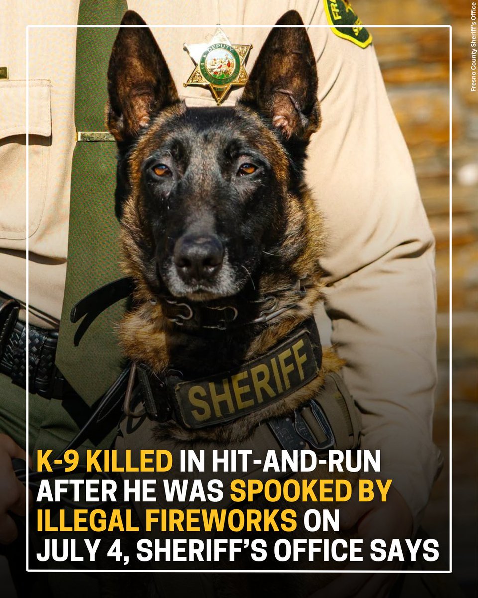 kwtx's tweet photo. A K-9 officer was struck and killed by a car after he was spooked by illegal fireworks, officials said.  INFO: https://t.co/fRHlvkvw5Z https://t.co/OjEy1Bccb7