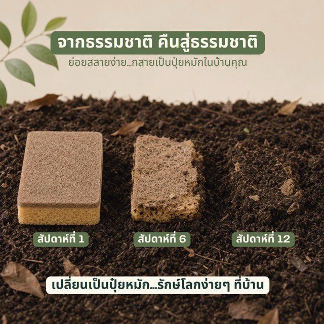 ramiovie's tweet photo. แนะนำฟองนำ้ล้างจานยี่ห้อนี้เลยค่ะ ทำมาจากวัสดุธรรมชาติ 100% ย่อยสลายเองได้

👉🏻 : https://t.co/TZXSCGnzlA https://t.co/kn1dub2vHf