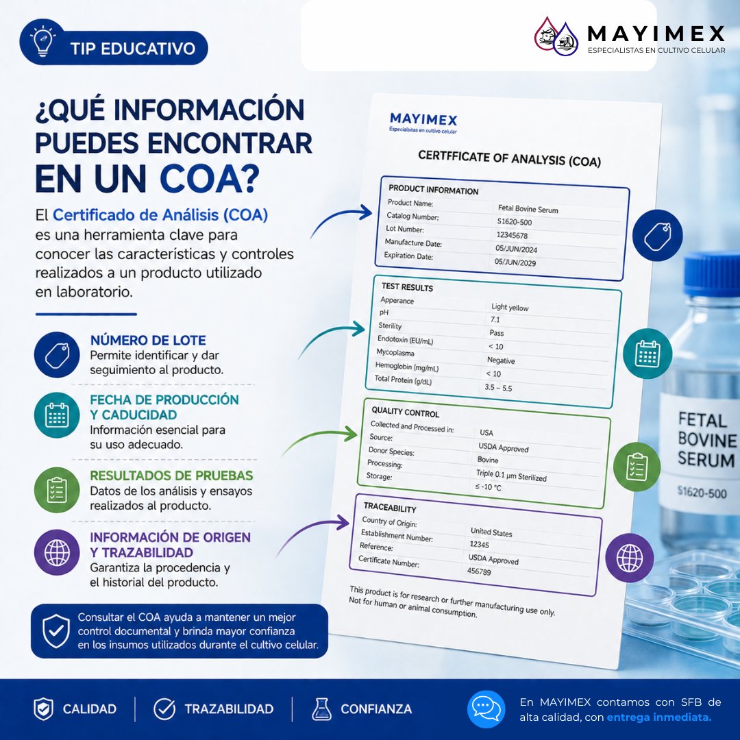 MAYIMEX_MEXICO's tweet photo. 📄 ¿Qué puedes encontrar en un COA?

✔️ Número de lote
✔️ Fechas importantes
✔️ Resultados de pruebas
✔️ Información de trazabilidad

💡 Un documento clave para el control y seguimiento de insumos en laboratorio.

#COA #CultivoCelular #Biotecnología https://t.co/DIAPp1XFLh
