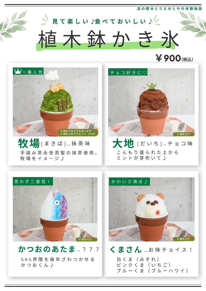 かわいいかき氷🥰 また食べに行かないと(((o(*ﾟ▽ﾟ*)o)))🍧✨ #植木鉢