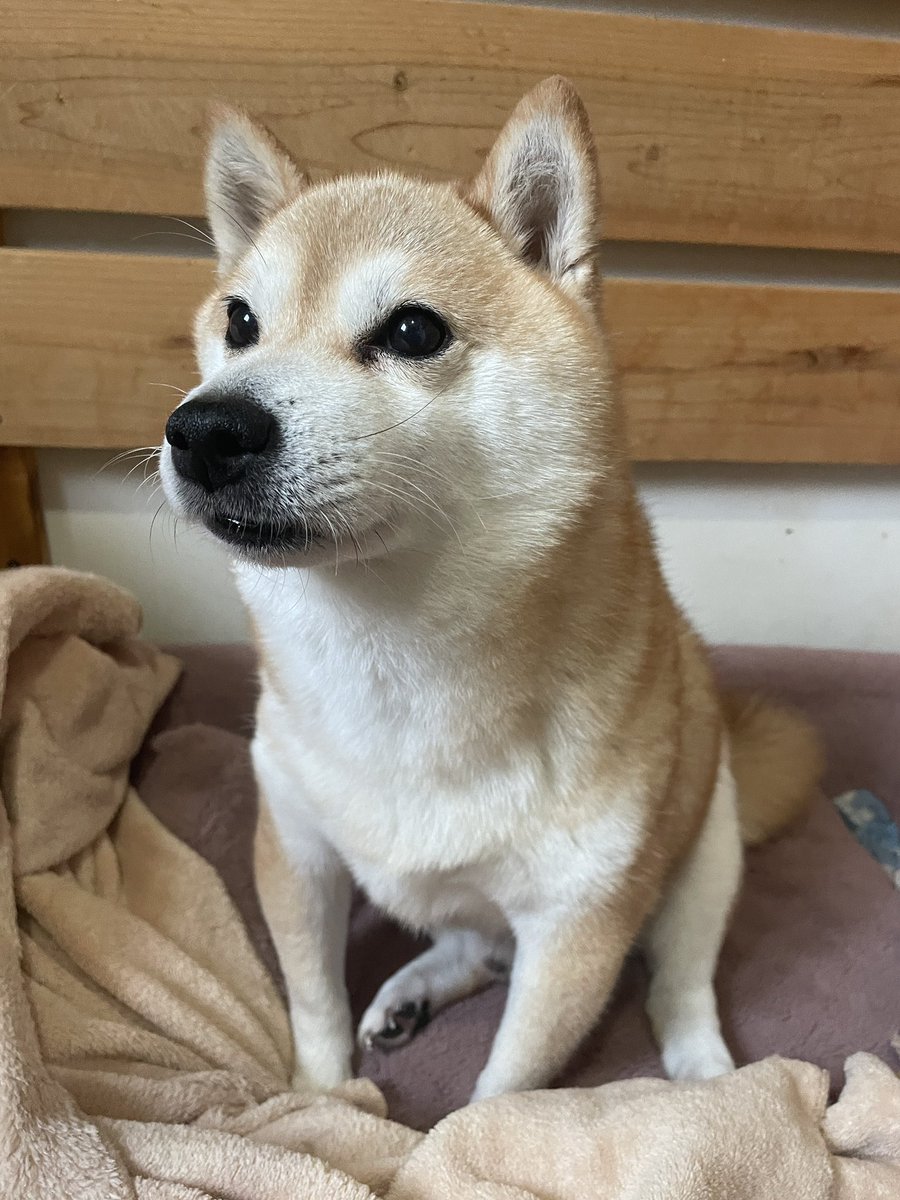 lovesurf19's tweet photo. キリッとした朝。

おはようございます。 https://t.co/7008IkfgWX