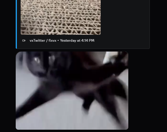 get2knowmeplz's tweet photo. @ImagesDeltarune my friend sent me a screenshot and i thought it was a beetle until i saw the video https://t.co/BYXKQ1X6Ld