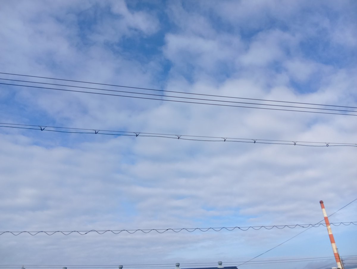 ten_sen's tweet photo. おはようございます。７月７日火曜日の朝、くもっています☁。
きょうの天気予報はくもり☁時々晴れ☀️です。雷注意報が出ています。
きょうも１日よろしくお願いします。

#イマソラ 
#七夕
#小暑 https://t.co/6JNeqsdP5O