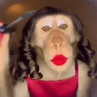 mt2ke's tweet photo. @CelesteSenadora @aagpy Cállate, maldito pedazo de mierda repugnante que solo busca llamar la atención. No tienes ni idea de fútbol; solo intentas ganar votos propagando un racismo vil y asqueroso. ¡Bruja estúpida y fea, vete a preparar tu poción mágica! https://t.co/SgYKDxbR1f