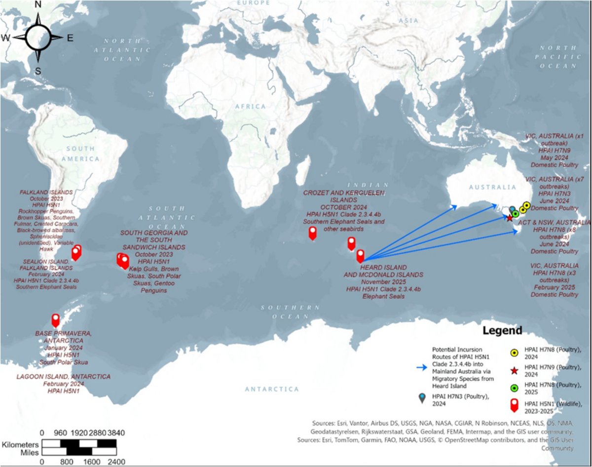 Globalbiosec's tweet photo. We published this paper on the risk of #H5N1 to Australia in December 2025. @UNSW PhD student Pan Zhang. https://t.co/FWYP12PMXc https://t.co/uRYoOPLJpd