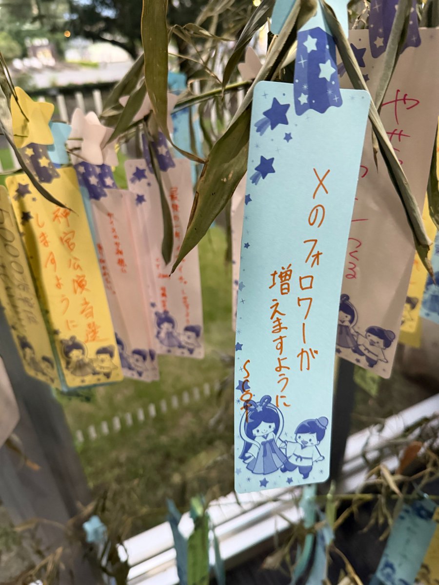SIT_SCOT's tweet photo. 今日は、七夕ですね。私たちも短冊に願い事を書きました!
実は竹と笹では葉脈や枝の出方などに違いがあります。では、キャンパスに飾られているのはどちらでしょうか?
#七夕
#SCOT
#芝浦工業大学 https://t.co/GUUig4uUvW