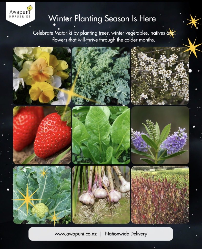 Grow_Awapuni's tweet photo. It’s winter planting time! https://t.co/RGNhMKg9Jj