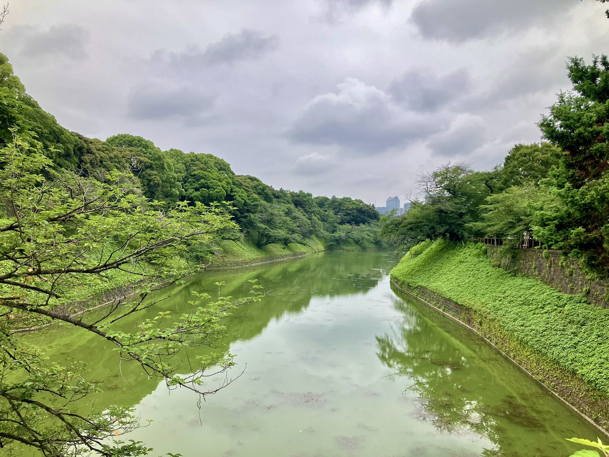 takedome2's tweet photo. #チャリ通
#つぼみ家

今朝も曇りの朝☁️
涼しい街を走り甲州街道ルートで四谷のつぼみ家さんへ！
今日も揚げたてを美味しく頂いたら千鳥ヶ淵をお散歩して☕️タイム😋
タイトスケジュールの仕事を仕留められるか不安な火曜日🤨落ち着いて頑張ります💪 https://t.co/Fnp9kCRcX5