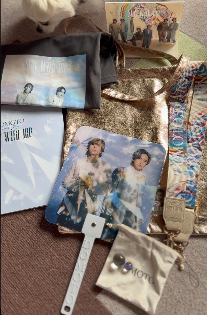 room_red_'s tweet photo. DOMOTOグッズ👏🏻✨👏🏻✨👏🏻
広げて見てたら特典のビー玉ワンコに持ってかれた😳 #DOMOTO https://t.co/RPFfpvAT7v