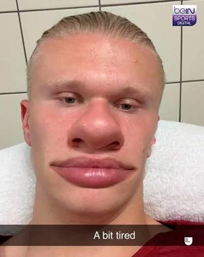 raniesson tweet picture