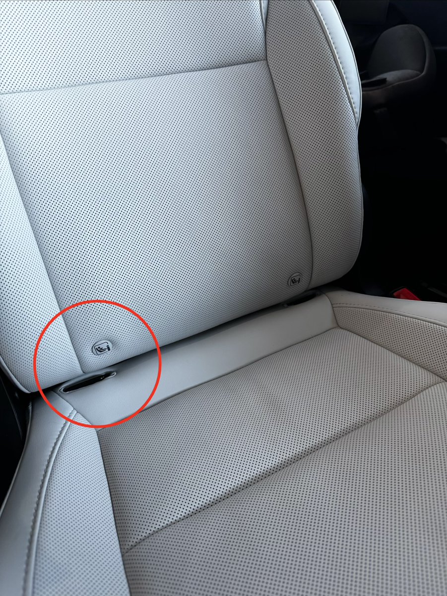 Ryan's Model Y tweet media