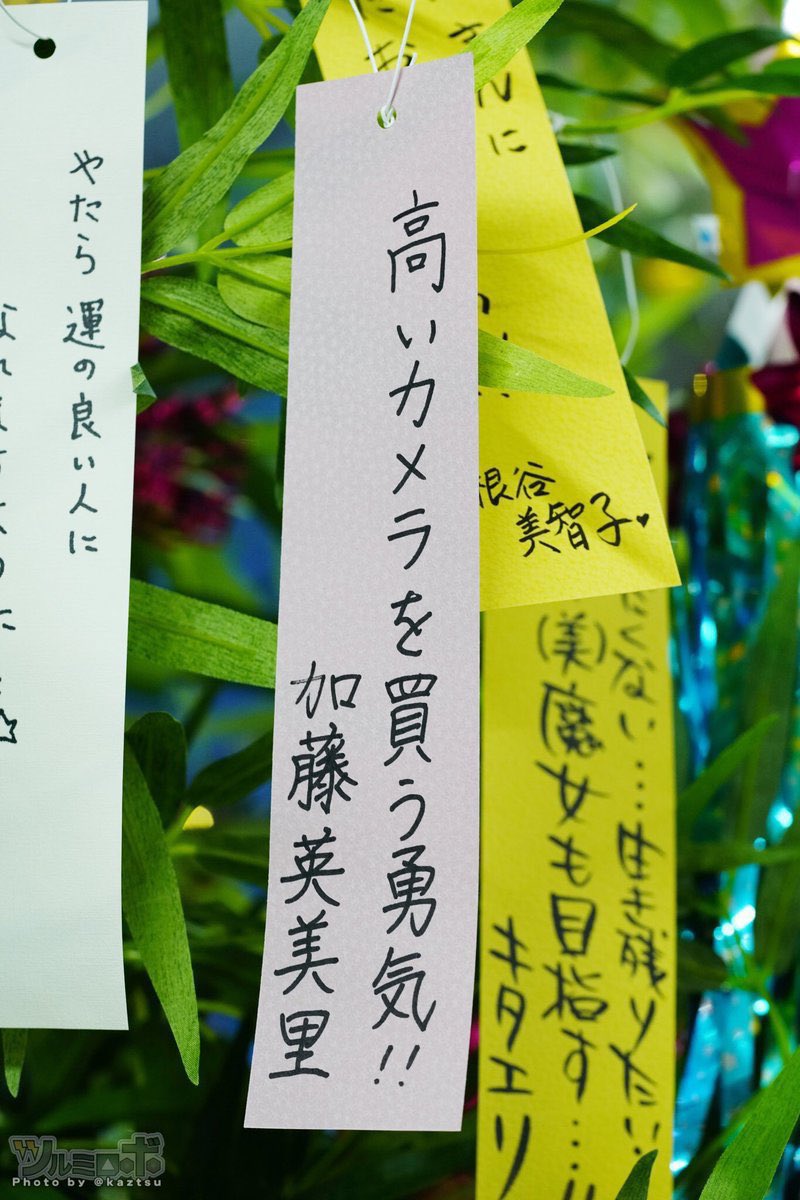 kaztsu's tweet photo. きょうは七夕。むかし毎年恒例だったJR秋葉原駅構内の物語シリーズ短冊。作中のキャラクターや声優さんたちが書いた短冊が飾られたもので、特に印象的だった短冊は「高いカメラを買う勇気！！」 https://t.co/Fh6jRCS12p
