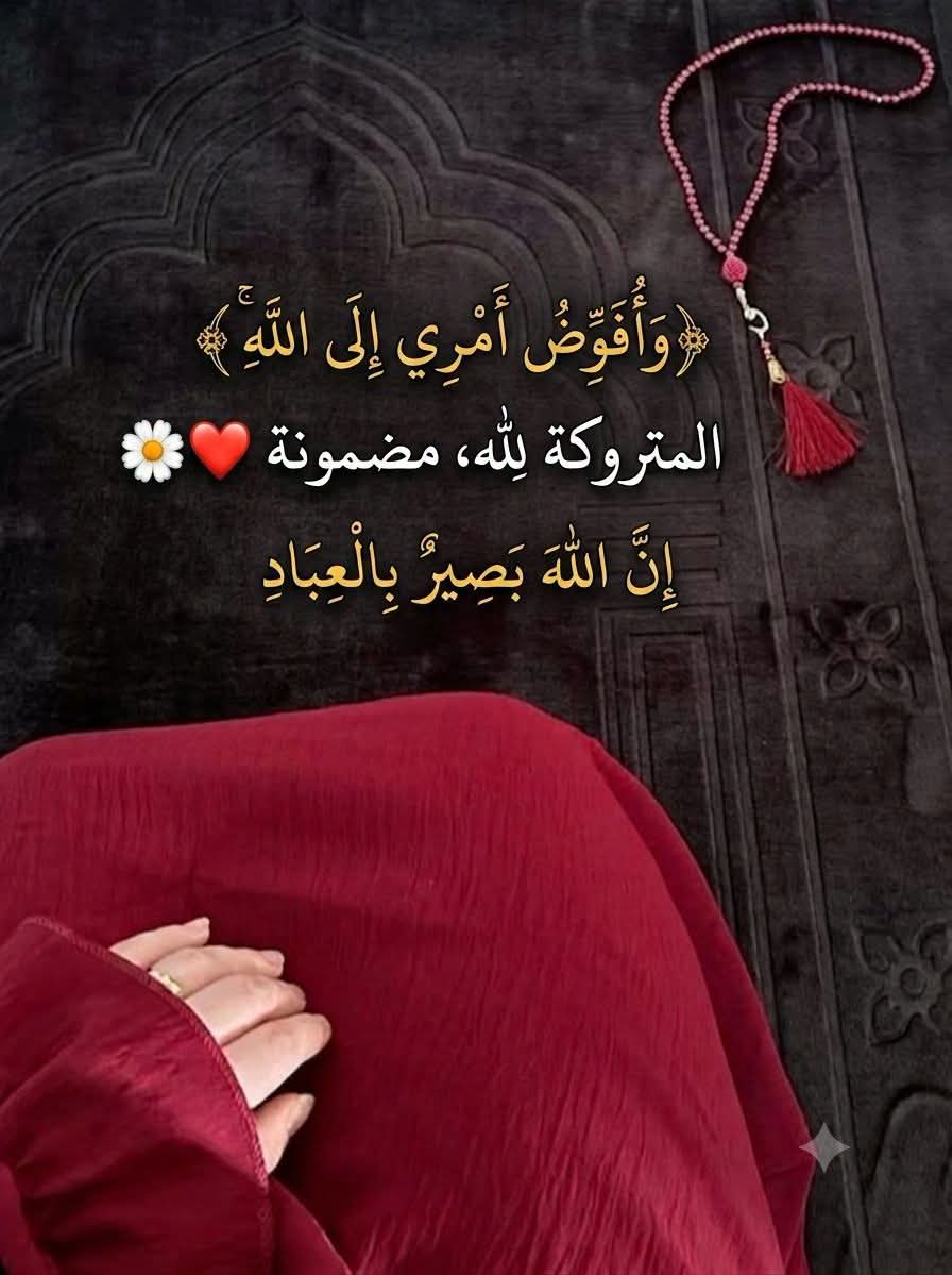 Rfl8x's tweet photo. ﴿ وَأُفَوِّضُ أَمْرِي إِلَى اللَّهِ إِنَّ اللَّهَ بَصِيرٌ بِالْعِبَادِ ﴾ https://t.co/3oK0RluPWL
