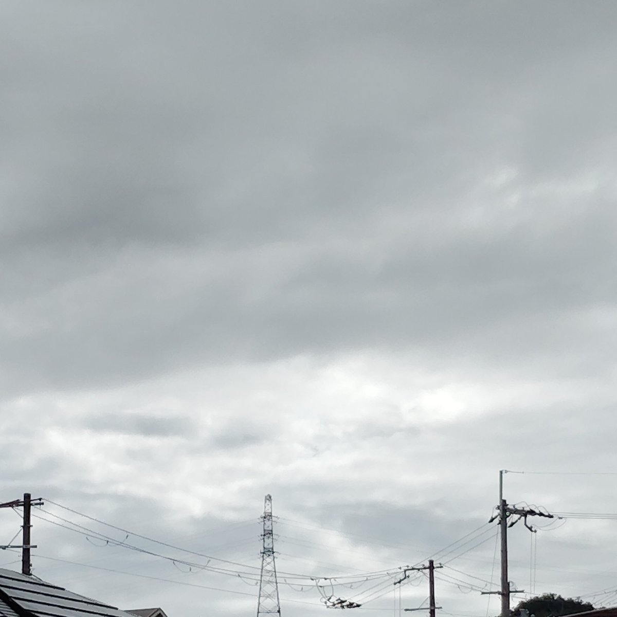 chihiro_geko's tweet photo. 7月7日(火) #断酒 29日目の朝

断酒4週間続きました。
だいぶアルコールのない生活に慣れてきた気がする。

今日もシラフで過ごします！

#Twitter断酒部 
#朝の空 https://t.co/n4MnmfDuGM