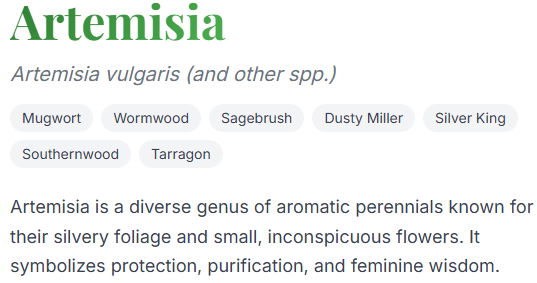 amberlovewinter's tweet photo. Honestly, I'm surprised no transfem Ralsei truthers have brought this one up https://t.co/a9KsNnYn06