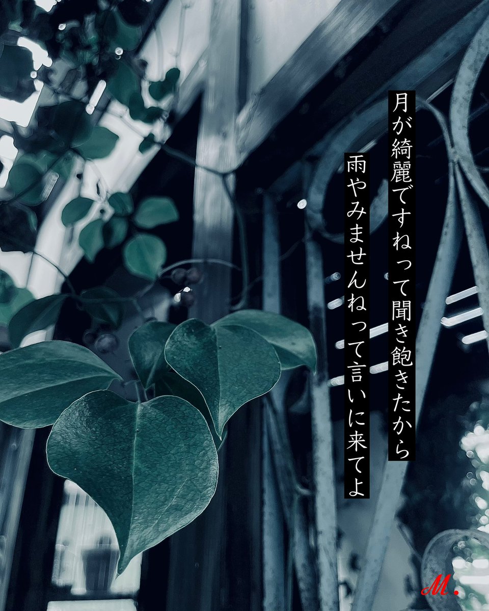ningyohime22rg0's tweet photo. ⋆✴︎
 #写真詩 #詩 #短歌  #抱きしめて囁いて

⋆✴︎˚｡⋆⋆✴︎ https://t.co/VuzGkd5zgm