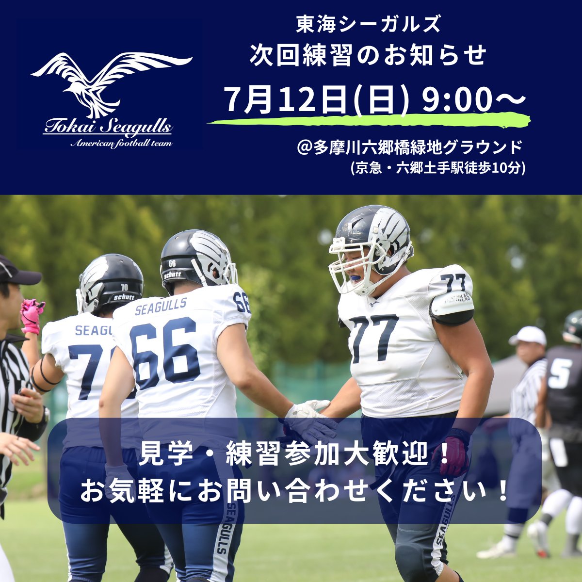 Seagulls_tokai's tweet photo. 📢次回練習のお知らせ

7/12(日) 9:00〜
@多摩川六郷橋緑地グラウンド(京急・六郷土手駅徒歩10分) 

練習場所の詳細は↓ 
https://t.co/sfXz9v5daA 

見学・練習参加大歓迎です！
DM・HPよりご連絡ください！

#東海シーガルズ #アメフト https://t.co/UV1WavEB4J
